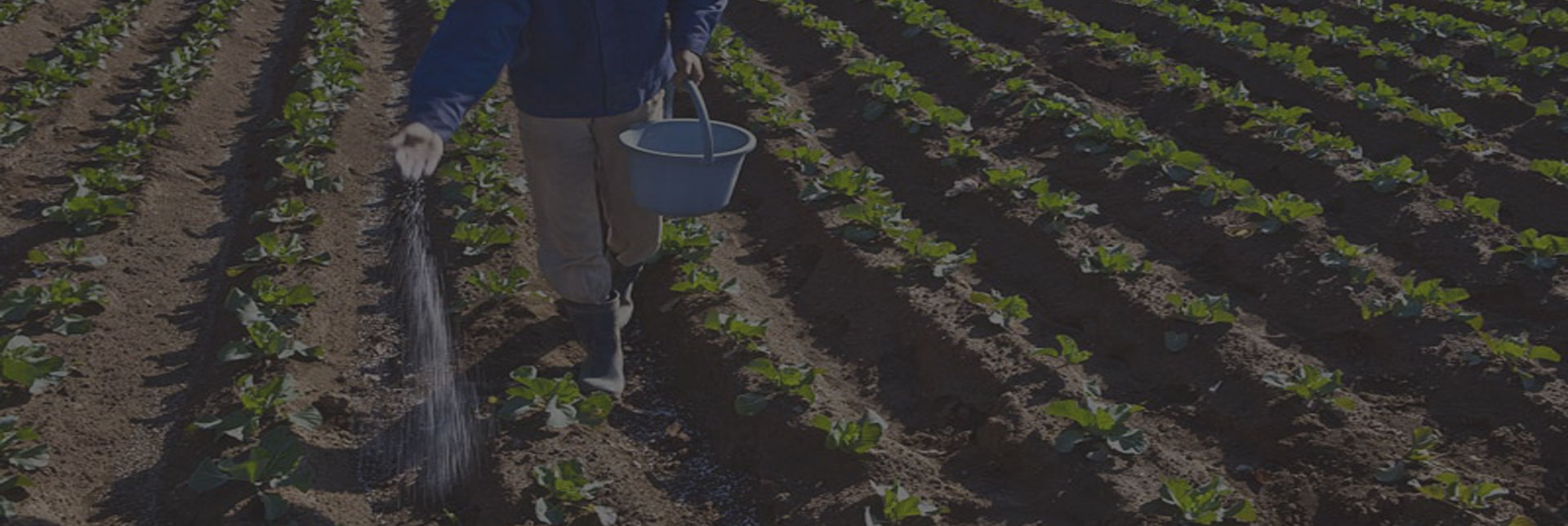 CIC attrezzature personalizzate e intelligenti nei settori dei fertilizzanti e della granulazione